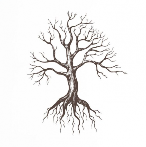 Gambar pohon dengan akar dalam tampilan hitam putih